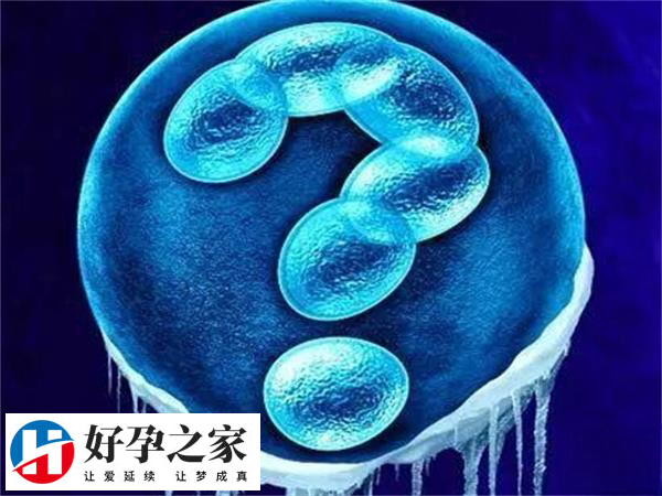 2088cf7cbb06049ba841588b817fd5b9_Lgk7KJNWBI1723015745066.jpeg