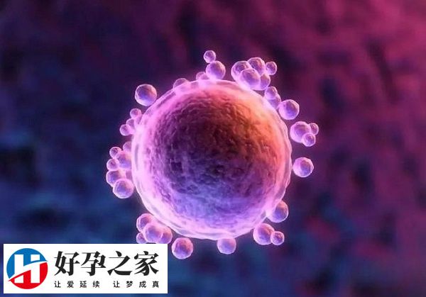 促排取出的卵泡一直不破裂是不正常的