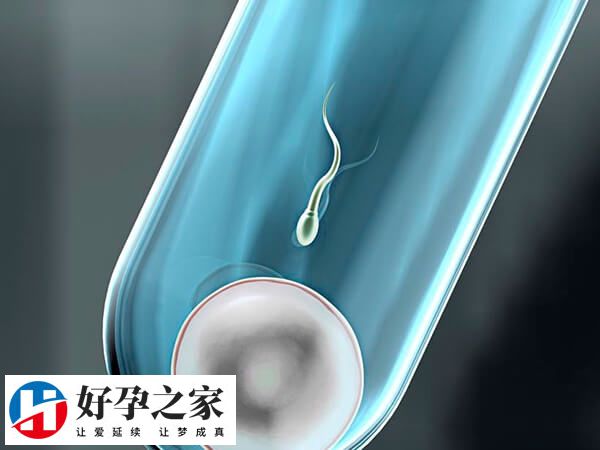 囊胚移植着床失败后不能盲目再移植