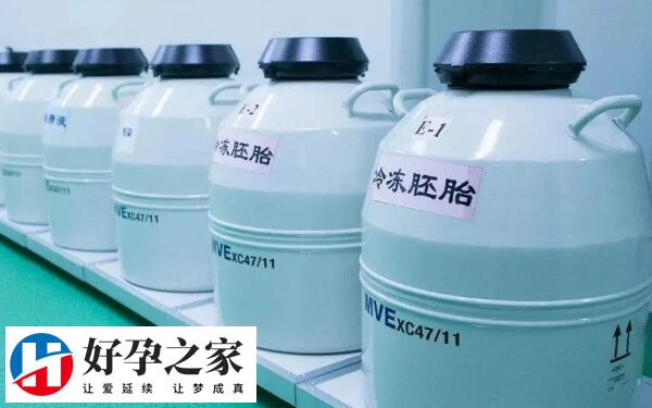 冻胚解冻后可能会因损伤而降级
