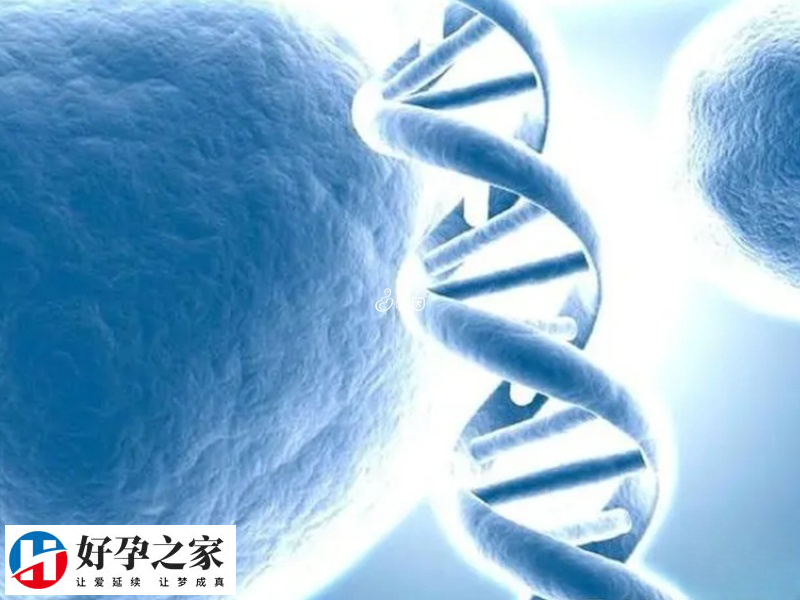 902a448ddfcc2aa7b1a326e15e3ac2b2_GL7XC8hINN1733470767011.jpeg