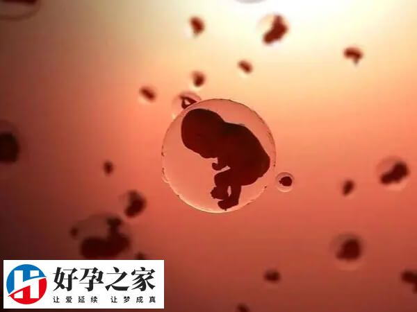 胚胎移植后一超检查很重要