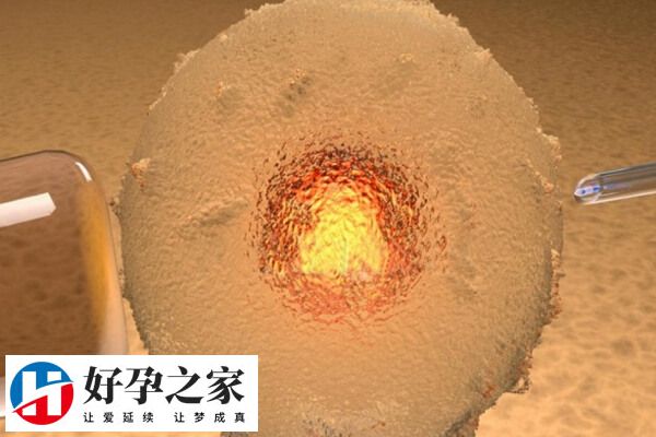 有胎心胎芽也还是要继续保胎