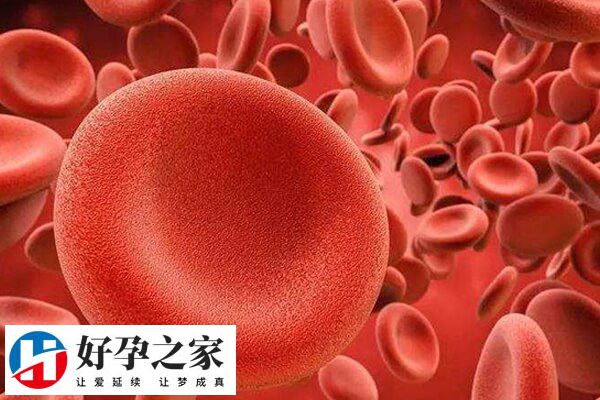 内分泌紊乱做试管婴儿会有不良影响
