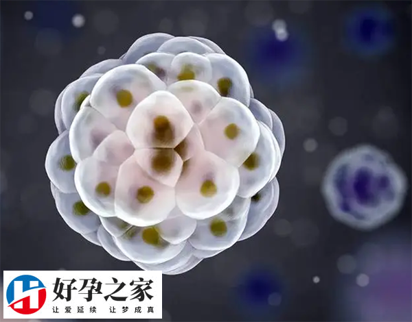 04cedaf5b118c2c98e89c53708e70016_OLArucP4dR1734144188612.png