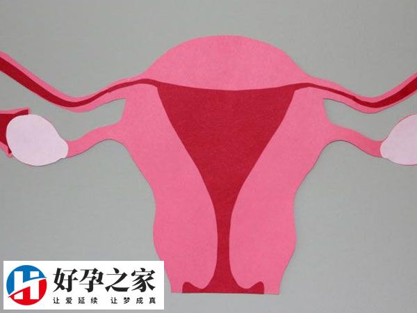 62a265bbd133b54d4191346a7e7ef6d8_2GFYIafaM51734169063281.png