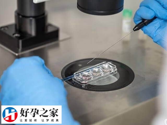 一代试管一次成功的概率是多少