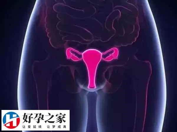 试管3代和4代哪个最简单