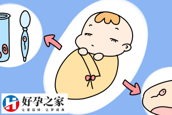 四代试管成功率很高