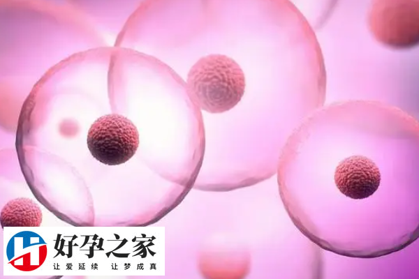 做四代试管会面临感染风险
