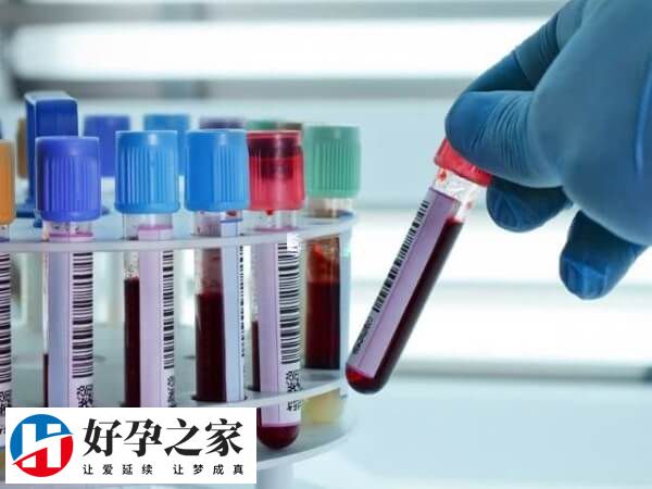 试管移植怀孕后HCG值会逐渐上升