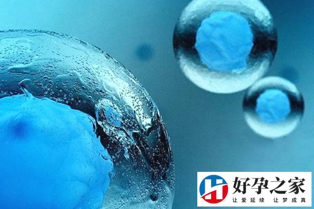 冻卵后绝经还可以怀孕吗?绝经后试管的成功几率