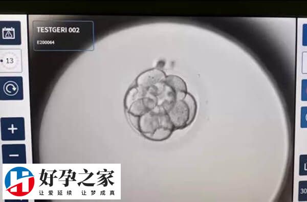 b级胚胎质量属于较好的类别