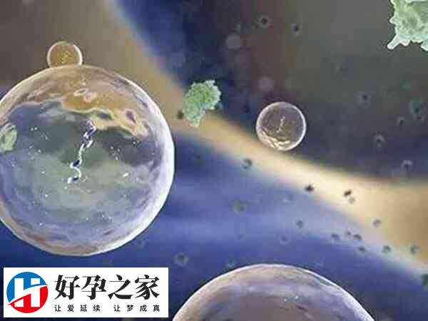 促排卵后取卵数量正常在10个左右