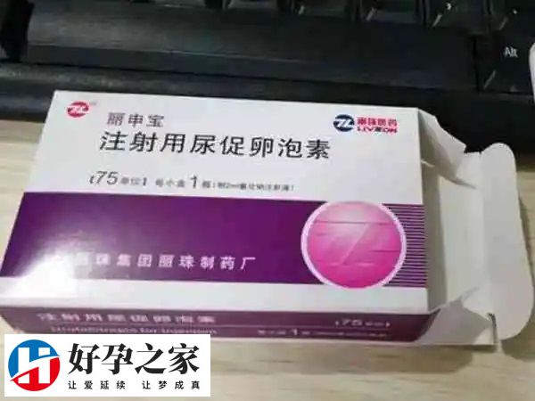 2EriLpeLY31706610402815.jpg