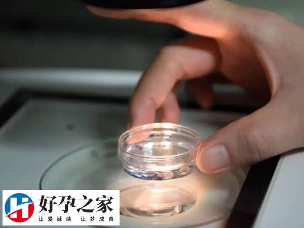 试管婴儿的进周后注意休息