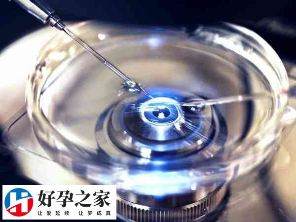 破卵针指夜针