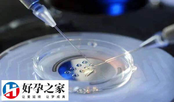 胚胎移植后是否要卧床48小时
