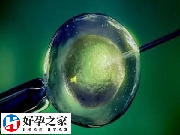试管移植后用药不当会引起胎儿畸形