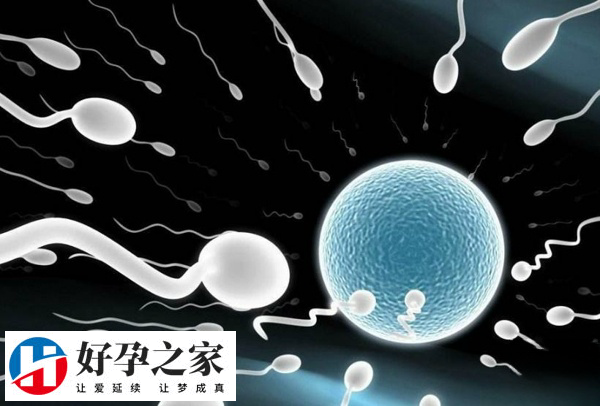 人授由经验丰富的专业人员操作