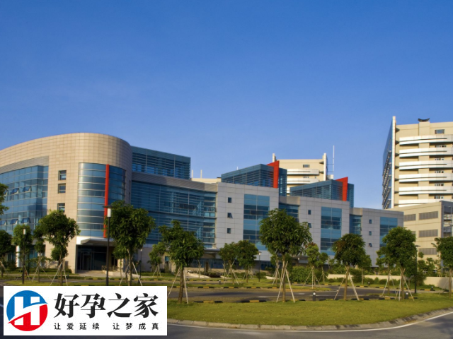 大部分泰国人工授精医院都是正规的