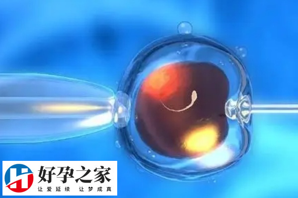 前往泰国做人授的几率有多高
