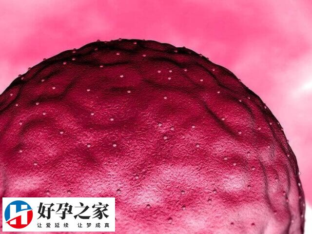高龄试管移植后注意健康饮食