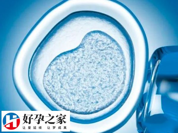 做试管进周后多久去一次医院
