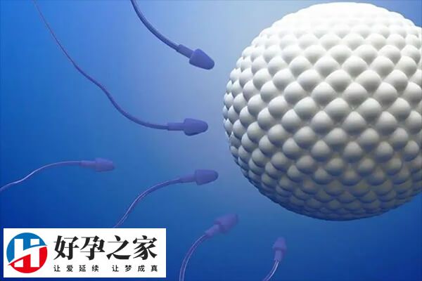  男性不育检查项目多