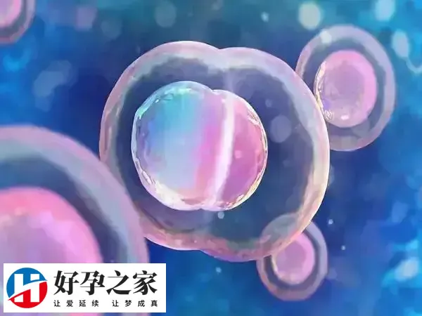 高龄试管婴儿成功率低