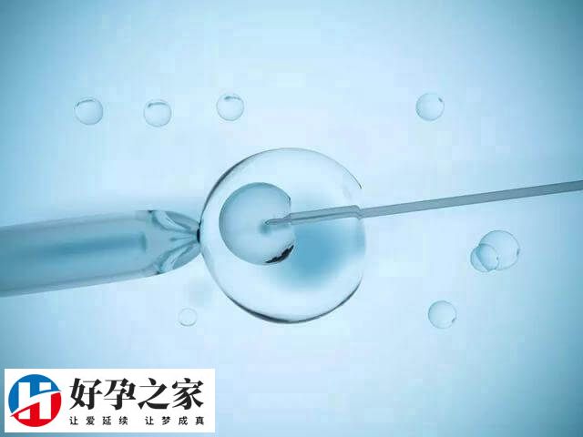 做第二次试管的价格可能会有所变动