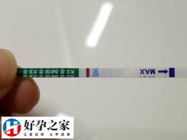 大卫验孕试纸