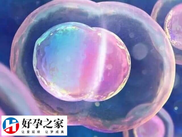 试管怎样做男孩几率高