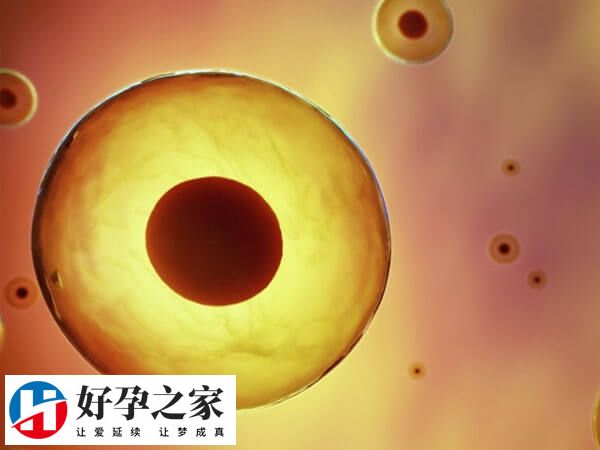 国家禁止任何形式的非医学需要的胎儿性别鉴定