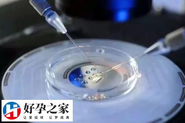 三代试管婴儿费用高的原因是什么