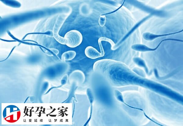 性功能障碍可以做人授