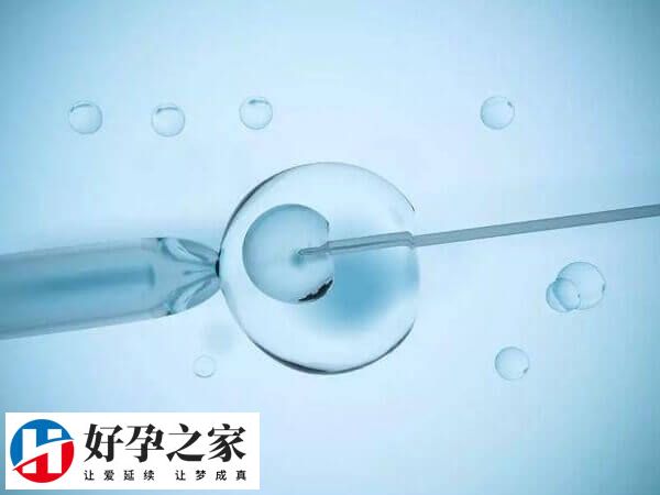 5aa囊胚并不能决定生男生女