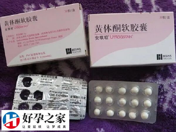 安琪坦和琪宁的区别有哪些