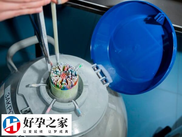 胚胎玻璃化冷冻具体操作步骤是什么