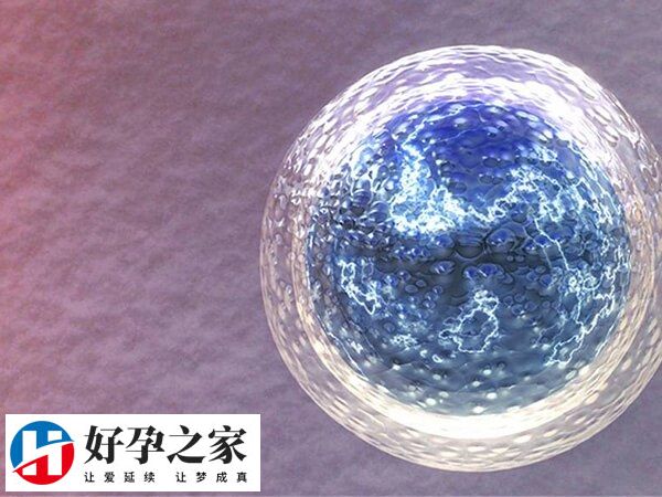 影响试管取卵的费用的因素有很多