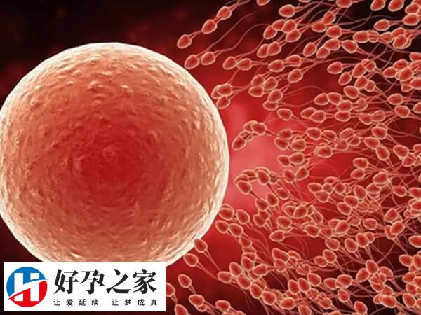 胚胎没过PGS筛查一般不建议使用