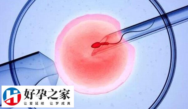 卵泡发育不好做试管婴儿
