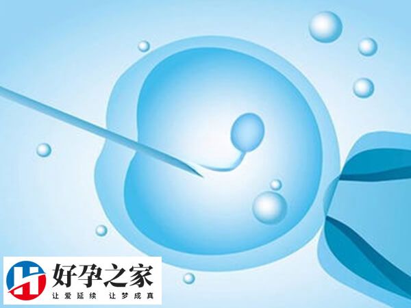 试管婴儿前要合理安排就诊时间