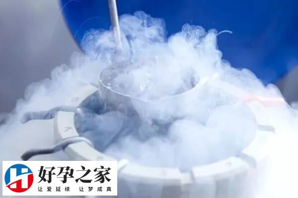 囊胚解冻1-2个小时就能移植