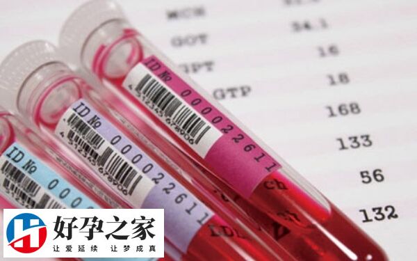 女性amh0.46自然怀孕困难