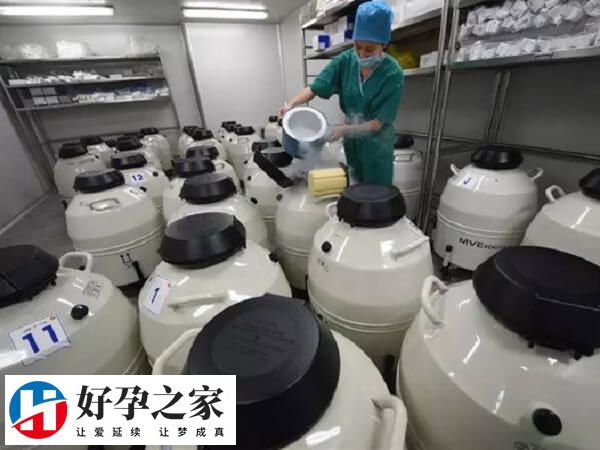 供卵等待卵源的时间很长