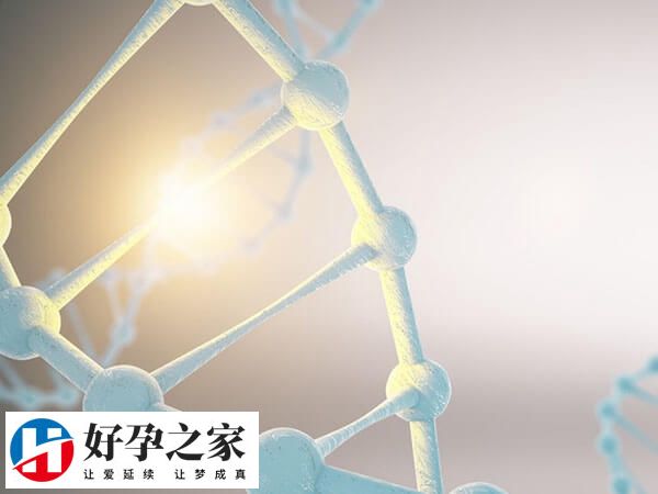 精子活力低是精卵不结合的原因之一