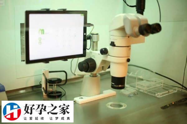 激素在女性生殖系统中扮演着重要的角色