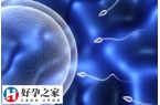 贵阳省医做试管婴儿的价格是多少