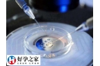 贵阳哪些试管婴儿医院排名最好